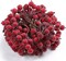 100 Wired Stems of Artificial Holly Berries Artificial Flower Decor Christmas (Dark Red) 5.2"D x 5.39"W x 2.72"H
